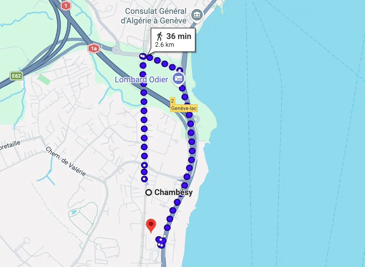 Google Maps suggested longer route in Geneva